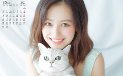 久久精品麻豆日日躁夜夜躁妓女